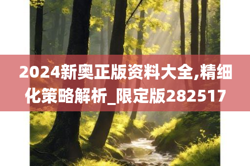 2024新奥正版资料大全,精细化策略解析_限定版282517