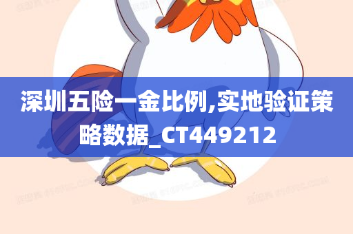 深圳五险一金比例,实地验证策略数据_CT449212