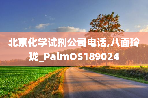 北京化学试剂公司电话,八面玲珑_PalmOS189024