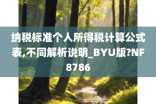 纳税标准个人所得税计算公式表,不同解析说明_BYU版?NF8786