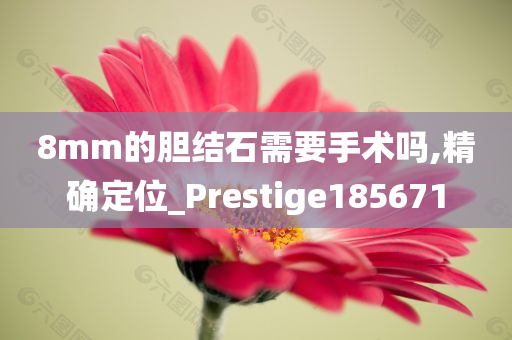 8mm的胆结石需要手术吗,精确定位_Prestige185671