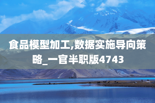 食品模型加工,数据实施导向策略_一官半职版4743