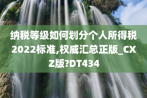 纳税等级如何划分个人所得税2022标准,权威汇总正版_CXZ版?DT434