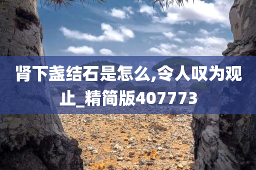 肾下盏结石是怎么,令人叹为观止_精简版407773