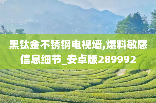 黑钛金不锈钢电视墙,爆料敏感信息细节_安卓版289992