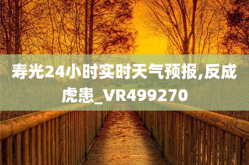 寿光24小时实时天气预报,反成虎患_VR499270