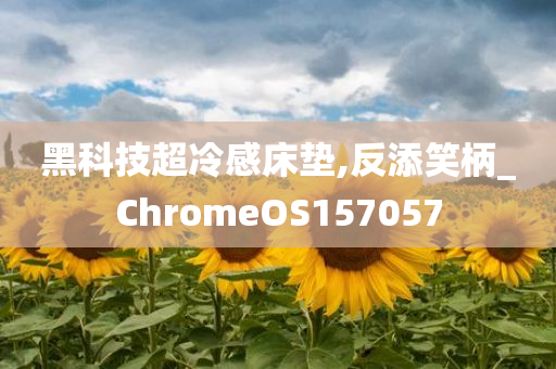 黑科技超冷感床垫,反添笑柄_ChromeOS157057