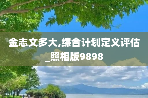 金志文多大,综合计划定义评估_照相版9898