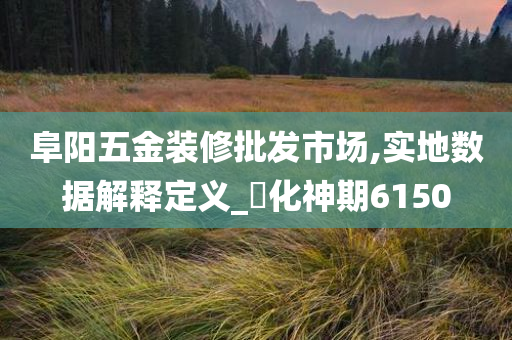 阜阳五金装修批发市场,实地数据解释定义_‌化神期6150