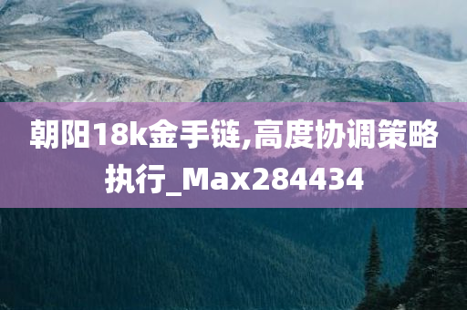 朝阳18k金手链,高度协调策略执行_Max284434