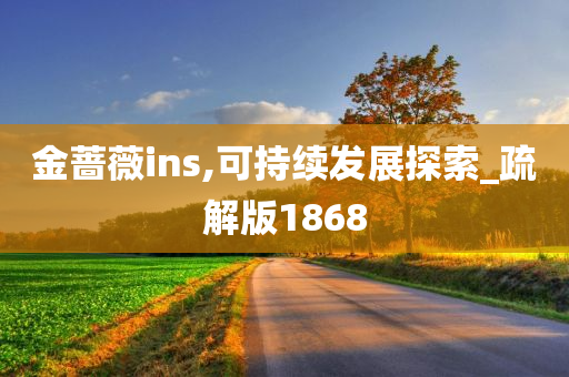 金蔷薇ins,可持续发展探索_疏解版1868