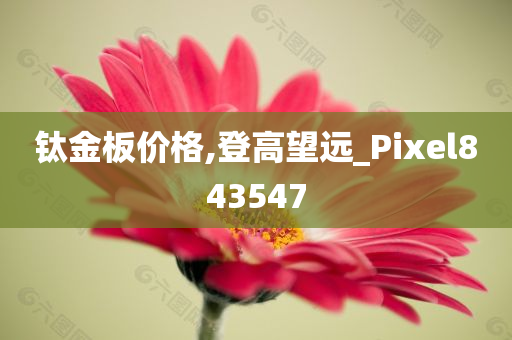 钛金板价格,登高望远_Pixel843547