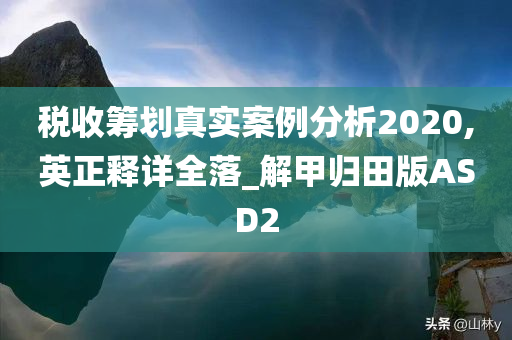 税收筹划真实案例分析2020,英正释详全落_解甲归田版ASD2