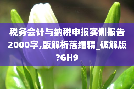 税务会计与纳税申报实训报告2000字,版解析落结精_破解版?GH9