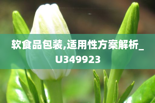 软食品包装,适用性方案解析_U349923