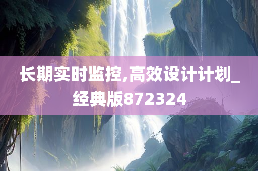 长期实时监控,高效设计计划_经典版872324