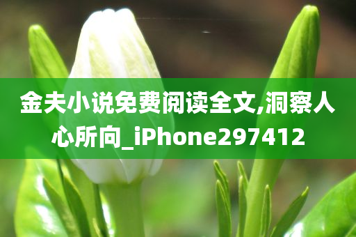 金夫小说免费阅读全文,洞察人心所向_iPhone297412