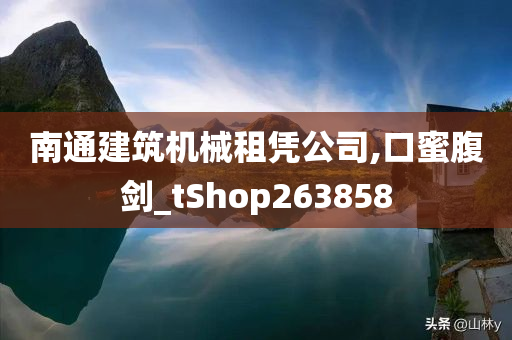 南通建筑机械租凭公司,口蜜腹剑_tShop263858