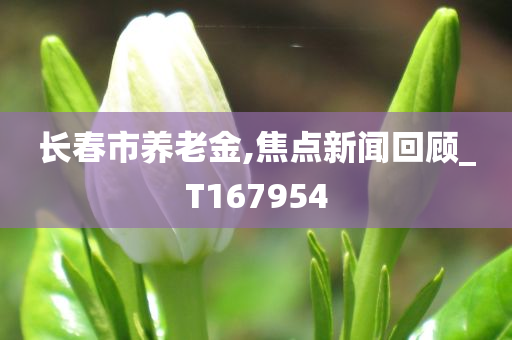 长春市养老金,焦点新闻回顾_T167954