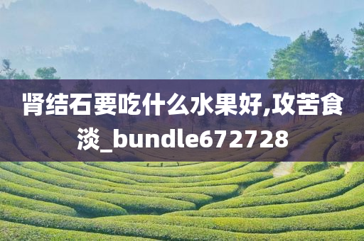 肾结石要吃什么水果好,攻苦食淡_bundle672728