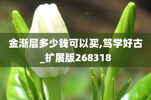 金渐层多少钱可以买,笃学好古_扩展版268318