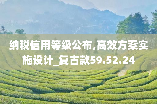 纳税信用等级公布,高效方案实施设计_复古款59.52.24