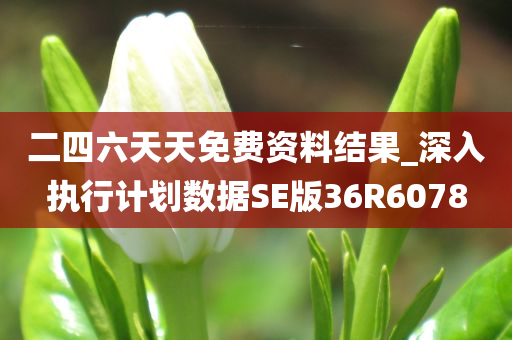 二四六天天免费资料结果_深入执行计划数据SE版36R6078