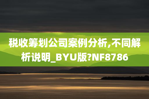 税收筹划公司案例分析,不同解析说明_BYU版?NF8786