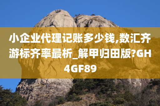 小企业代理记账多少钱,数汇齐游标齐率最析_解甲归田版?GH4GF89