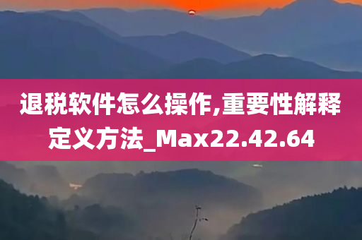 退税软件怎么操作,重要性解释定义方法_Max22.42.64