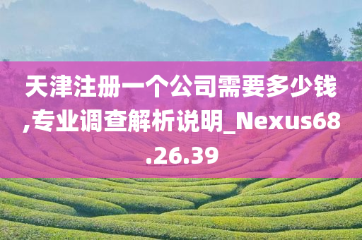 天津注册一个公司需要多少钱,专业调查解析说明_Nexus68.26.39