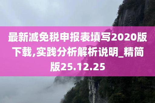 最新减免税申报表填写2020版下载,实践分析解析说明_精简版25.12.25