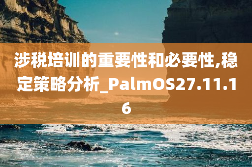 涉税培训的重要性和必要性,稳定策略分析_PalmOS27.11.16