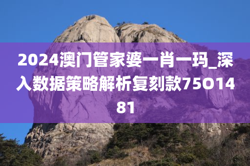 2024澳门管家婆一肖一玛_深入数据策略解析复刻款75O1481