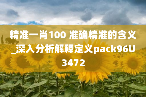 精准一肖100 准确精准的含义_深入分析解释定义pack96U3472