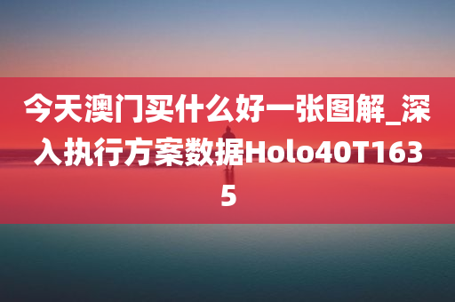 今天澳门买什么好一张图解_深入执行方案数据Holo40T1635