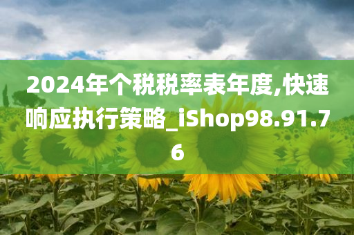 2024年个税税率表年度,快速响应执行策略_iShop98.91.76