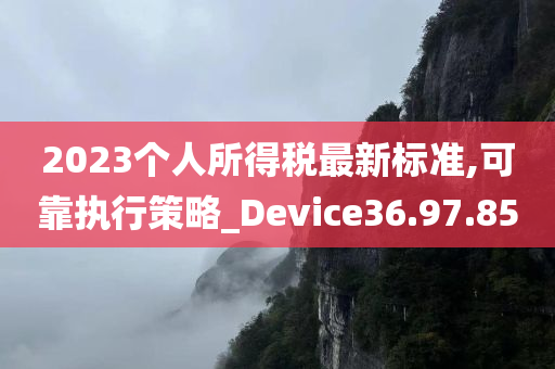 2023个人所得税最新标准,可靠执行策略_Device36.97.85