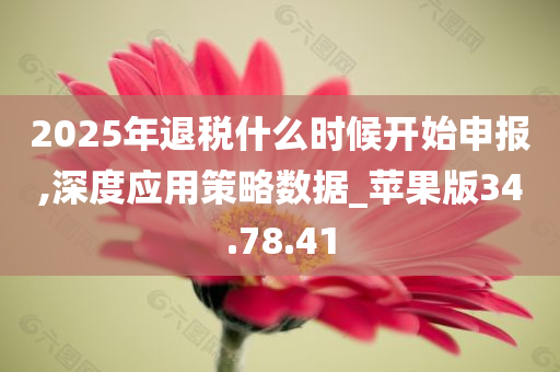 2025年退税什么时候开始申报,深度应用策略数据_苹果版34.78.41