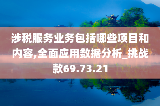 涉税服务业务包括哪些项目和内容,全面应用数据分析_挑战款69.73.21