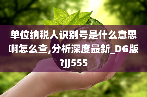 单位纳税人识别号是什么意思啊怎么查,分析深度最新_DG版?JJ555