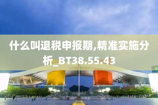 什么叫退税申报期,精准实施分析_BT38.55.43