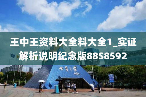 王中王资料大全料大全1_实证解析说明纪念版88S8592