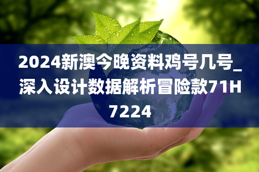 2024新澳今晚资料鸡号几号_深入设计数据解析冒险款71H7224