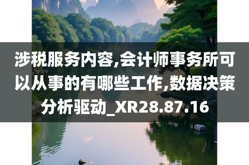 涉税服务内容,会计师事务所可以从事的有哪些工作,数据决策分析驱动_XR28.87.16