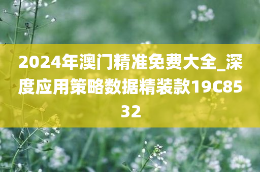 2024年澳门精准免费大全_深度应用策略数据精装款19C8532