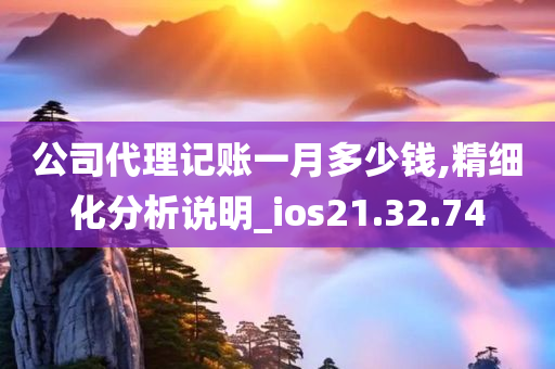 公司代理记账一月多少钱,精细化分析说明_ios21.32.74