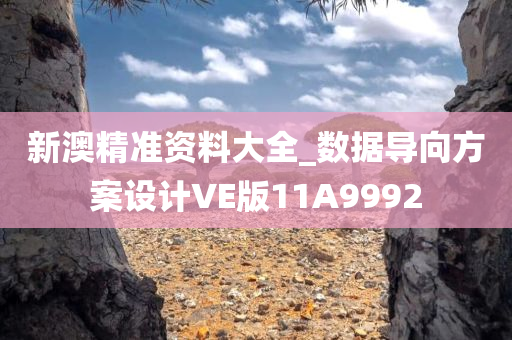 新澳精准资料大全_数据导向方案设计VE版11A9992