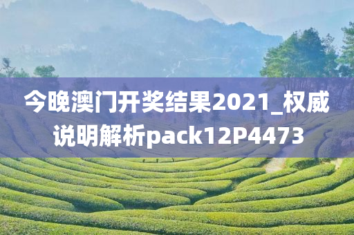 今晚澳门开奖结果2021_权威说明解析pack12P4473