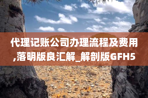 代理记账公司办理流程及费用,落明版良汇解_解剖版GFH5